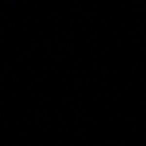 Meet your Posher, Zion